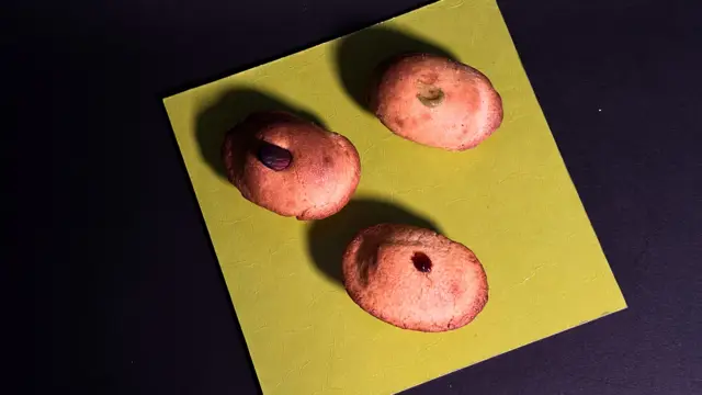 Pasticciotti crema e amarena
